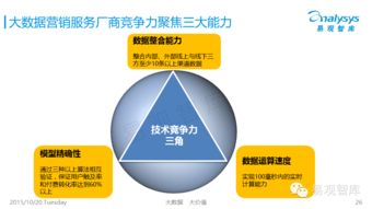 2015中国大数据营销服务市场专题研究报告简析 数据赋能下的营销变革